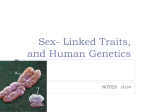 Sex- Linked Traits