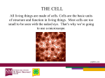 The Cell (PowerPoint)