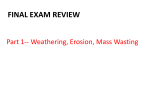 Final Exam Review - HCC Learning Web