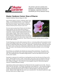 Master Gardener Corner: Rose of Sharon