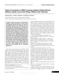 Types of variation in DNA-A among isolates of East African cassava