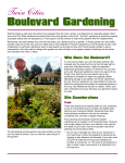Twin Cities Boulevard Gardening - Merriam Park Neighbors for Peace