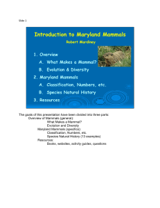 Mammals - AGNR Groups