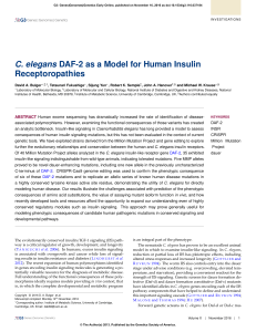 C. elegans DAF-2 as a Model for Human Insulin Receptoropathies