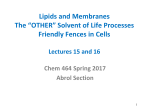 Lipids and Membranes The “OTHER” Solvent of Life Processes