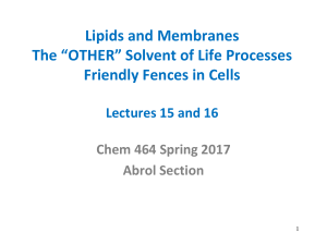 Lipids and Membranes The “OTHER” Solvent of Life Processes