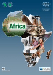 Africa Competitiveness Report 2015