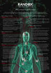 Effects of Alcohol on the Human Body