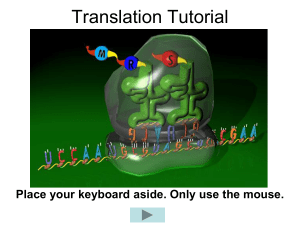 ribosome