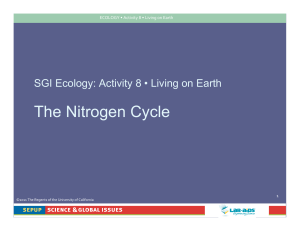 Nitrogen Cycle Slide Presentation
