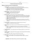 5th Grade: Animal Systems Study Guide Objective: Identify the