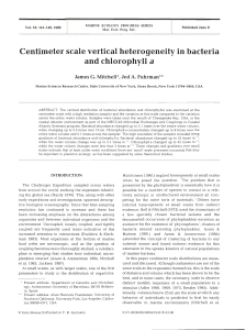 Centimeter scale vertical heterogeneity in bacteria
