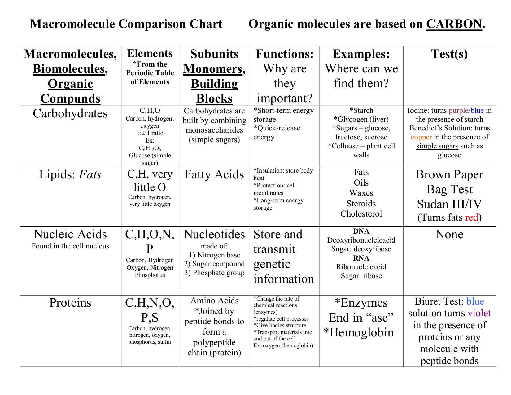 Macromolecule Comparison Chart