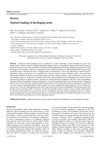 Review: Nutrient loading of developing seeds
