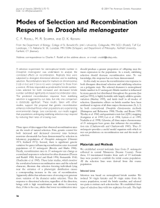 Modes of Selection and Recombination Response in Drosophila