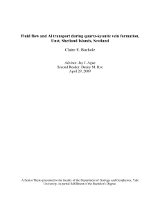 Fluid flow and Al transport during quartz