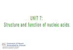 7.2 Nucleic acids