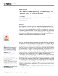 Cilia and sensory signaling: The journey from #_#x201C