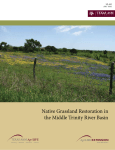 Native Grassland Restoration in the Middle Trinity River Basin