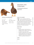 Quackers and Cottontails - National Math and Science Initiative