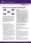 Risks from Climate Feedbacks