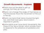 Growth Movements - tropisms