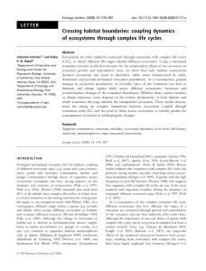 Crossing habitat boundaries: coupling dynamics of ecosystems