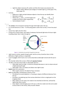 o Light hits object, bounces off, scatters and then the human eye