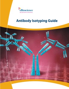 antibody isotyping Guide - Thermo Fisher Scientific