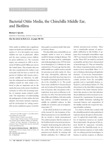 Bacterial Otitis Media, the Chinchilla Middle Ear, and Biofilms