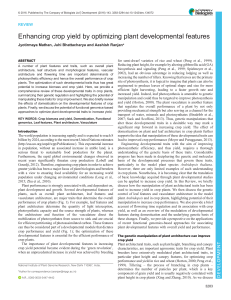 Enhancing crop yield by optimizing plant developmental features