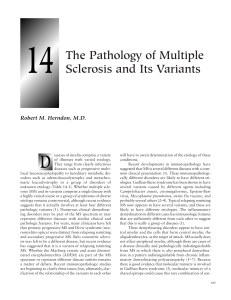 The Pathology of Multiple Sclerosis and Its Variants