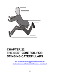 Chapter 22 - Stinging Caterpillars