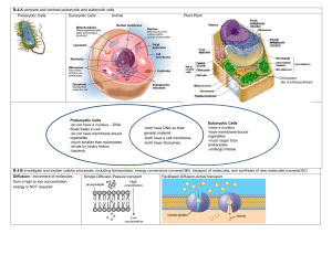 B.4.A compare and contrast prokaryotic and eukaryotic cells
