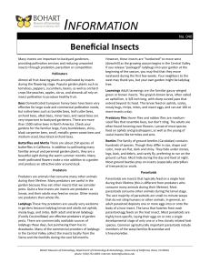 Beneficial Garden Insects - Bohart Museum of Entomology