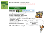 Overview of Lecture: Eukaryotes: Protists. Read: Text Ch 24 (review
