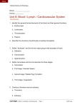 Unit 8: Blood / Lymph / Cardiovascular System