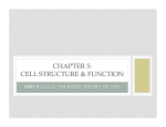 6.4 Cell Specialization PPT