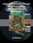 Impacts of Climate Change on Forests of the Northern Rocky