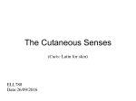 The Cutaneous Senses