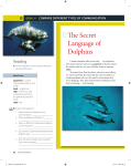 e Secret Language of Dolphins