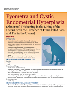 Pyometra and Cystic Endometrial Hyperplasia