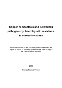 Copper homeostasis and Salmonella pathogenicity