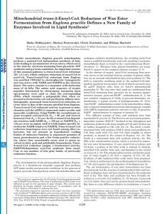 Mitochondrial trans-2-Enoyl-CoA Reductase of Wax Ester