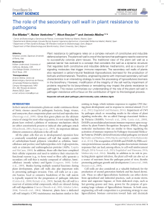 The role of the secondary cell wall in plant resistance to pathogens