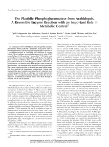 The Plastidic Phosphoglucomutase from