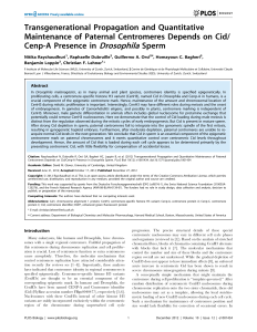 Cenp-A Presence in Drosophila - Institute of Molecular Life Sciences