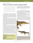 Behaviors in the Cuban Crocodile (Crocodylus rhombifer)