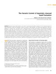 The Genetic Control of Apomixis: Asexual Seed Formation