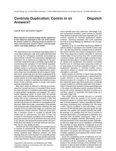 Centriole Duplication: Centrin in on Answers? Dispatch